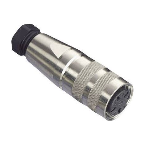 Amphenol C091 31D008 100 2 Connettore circolare Giunto dritto Tot poli: 8 Serie (connettore circolare): C091 1 pz. (1/4)