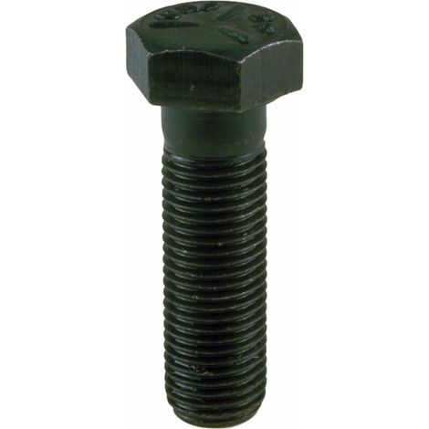 Vite Fiss.Lama Rasaerb.63,4 Mm