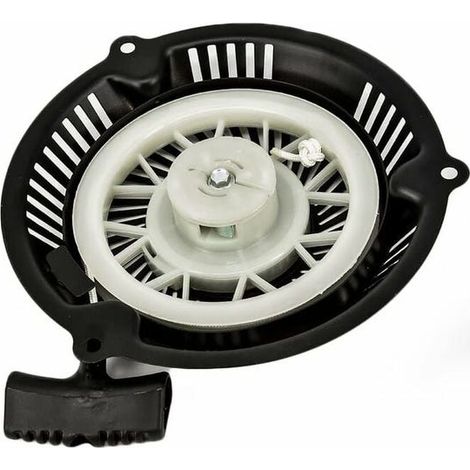 Ricambi per tosaerba Einhell Cobra Hyundai 1P60/64 (1/4)