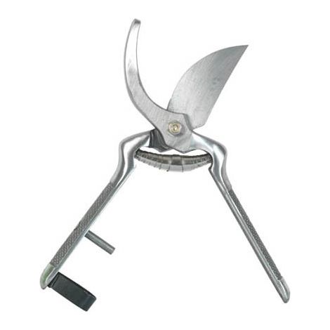 Forbice Curva Tradizionale Ribim 230 mm (1/2)