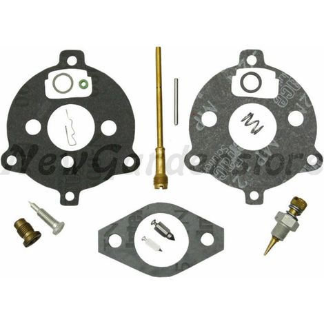 Vergaser-Überholungskit BRIGGS & STRATTON 7-9hp horizontaler Motor