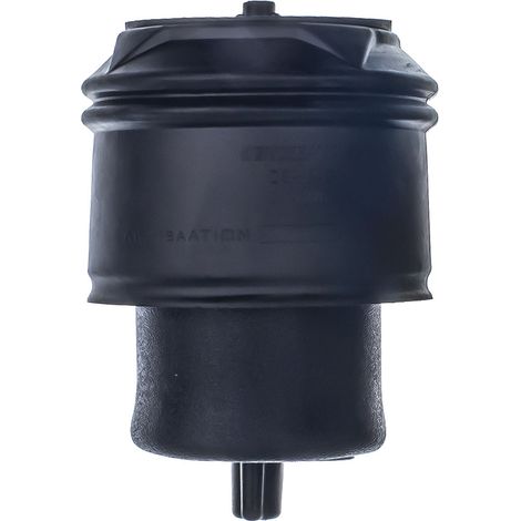 Muelle neumático trasero DSA129G denckermann
