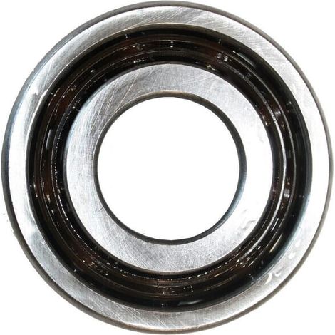 Rodamiento RENSON 381538