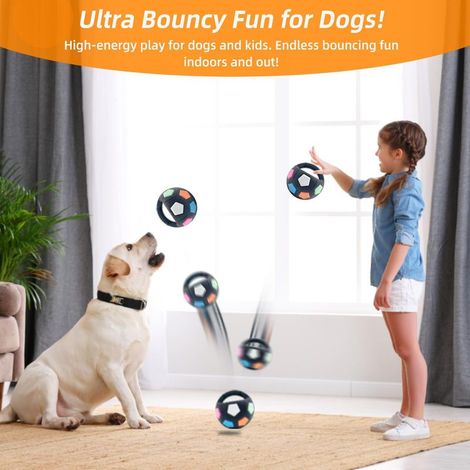 Ballon jouet sonore pour chien avec poignée – Jeu interactif anti ennui – Pour dépenser l énergie (1/4)