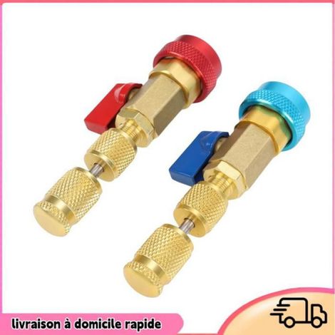 Outil de Retrait de Noyau de Valve, R134a, Kit D'outils de Retrait Rapide de Noyau de Valve AC Haute Basse Pression 31 Pièces (1/4)