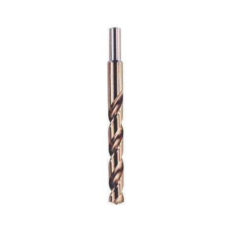 KRINO - 13 MM - PUNTE ELICOIDALI CILINDRICHE, SERIE CORTA, ESECUZIONE RULLATA