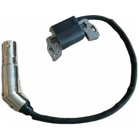 Briggs & Stratton Ignition 595304 799650 795315 High Voltage Ignition Pack MUMU (1/4)