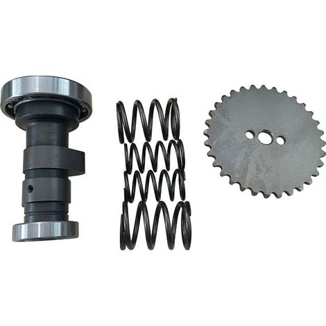 Engine parts for Z40 off-road motorcycle: camshaft, crankshaft, timing sprocket and spring (1/5)