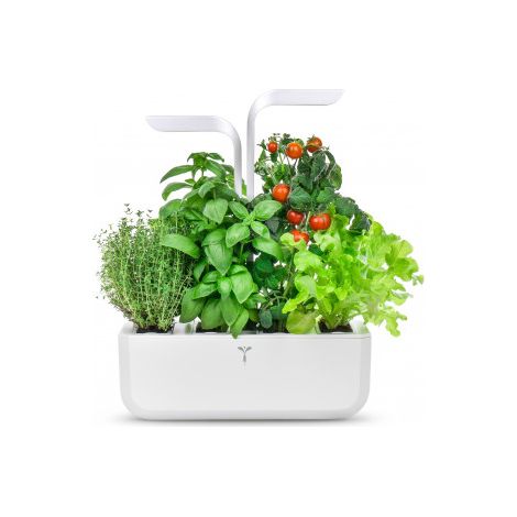 Véritable CLASSIC jardín de casa Blanco (1/5)