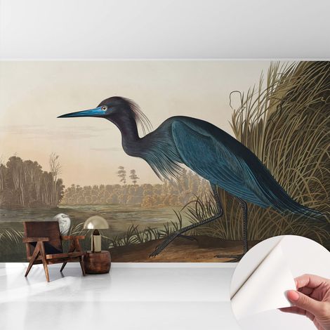 Selbstklebende Tapete modern Wohnzimmer - Wanddeko Schlafzimmer - Tapete mit Motiv Vögel am Wasser 416x254 cm (1/5)