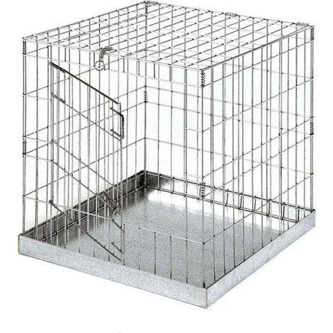 Jaula de Exposición para Aves con Puerta 60x60 cm  Jaula Metálica para Pájaros  Chapa Galvanizada  Fácil de Limpiar