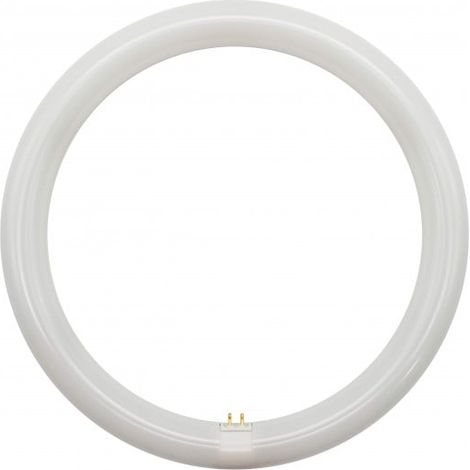 IluminaShop - Tubo de LED T9 18W G10Q Circular 300 mm  Blanco Frio 6000K