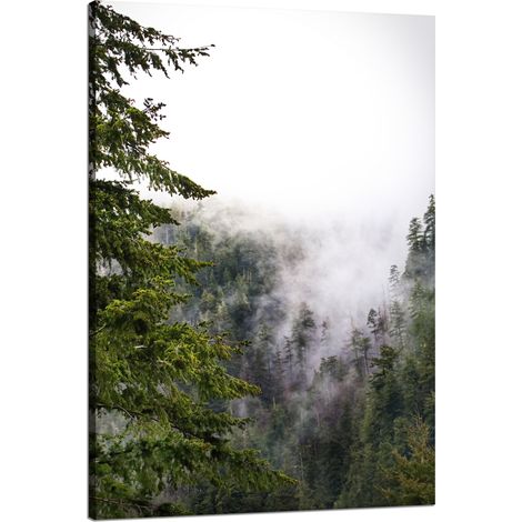 Leinwanddruck Natur Berge Nebelwald 80x120