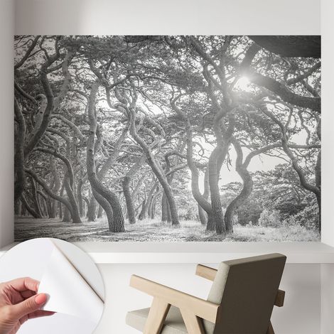 Papier peint autocollant décoratif à motifs pour salon chambre et bureau Tapete adhésif pour décoration Forêt atmosphérique 104x70 cm (1/5)