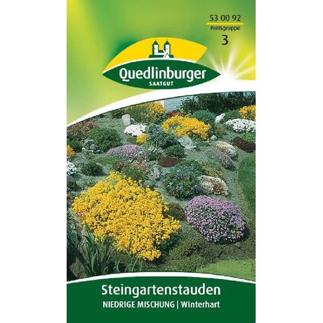 Quedlinburger Steingartenstauden Niedrige Mischung - Blumensamen (1/2)