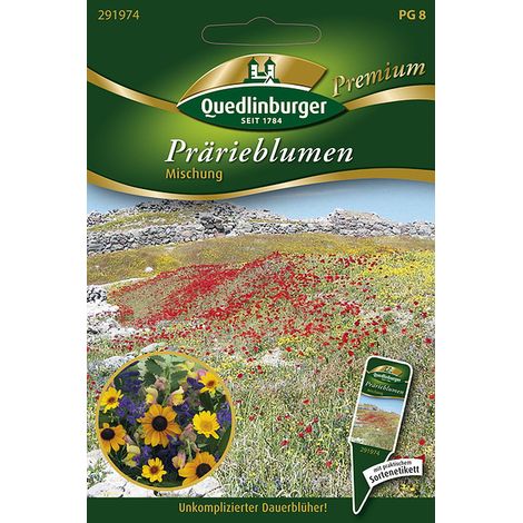 Quedlinburger Saatgut – Fleurs de prairie nord-américaine en mélange – Graines, vivaces et annuelles, 40-80 cm
