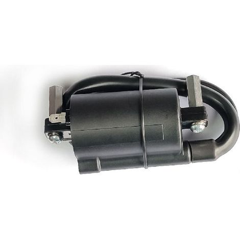Zündspulen kompatibel mit GN125, VX250, Virago1100, XV1100, XV-1100, 1995-200 (1/4)