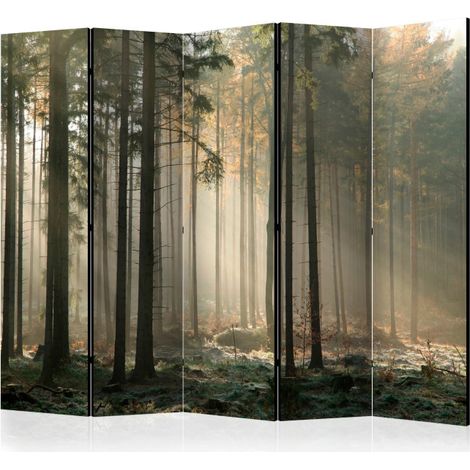 Paravent 5 Volets "Foggy November Morning" 172x225cm (1/2)