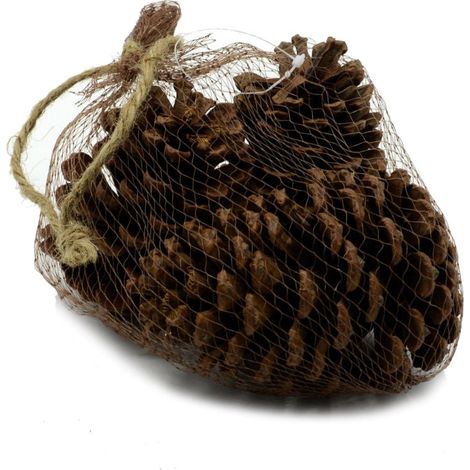SACCHETTO 3 PZ PIGNA NATURALE