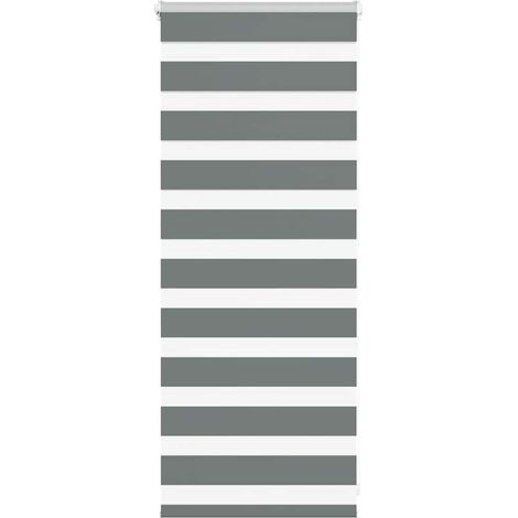 Doppelrollo Dunkelgrau 55x100 cm Stoffbreite 50,9 cm Polyester