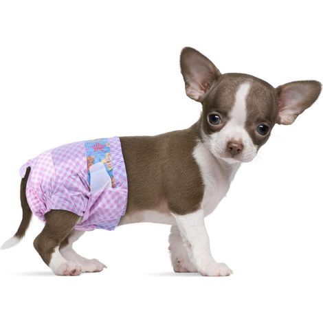 Couches pour Chien Femelle, XXS-10 Couches jetables Super absorbantes avec indicateur d'humidité, Culotte menstruelle pour Femelle en Saison, Couches d'incontinence pour Chiot (1/5)