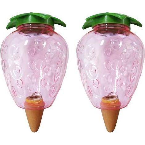Lntyq 2 Pièces Cone Arrosage Bouteille 500ML, Bille Argile Plante Interieur, Systèmes D'irrigation Automatique pour Planter Pot, Distributeur Eau Plantes Arroser Vacances Transparent Boules (Fraise) (1/5)