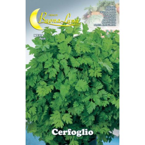 10PZ SEMI ORTO CERFOGLIO (1/2)