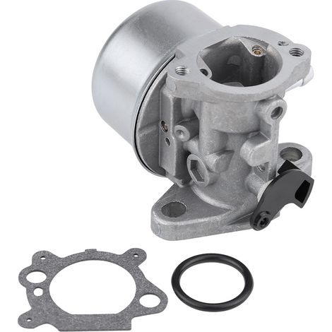 Briggs & Stratton Vergaser 799868 498170 498254 für Motoren (1/5)