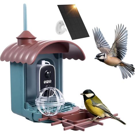 Nichoir à Oiseaux avec caméra 4MP mangeoire Solaire pour Oiseaux et Station d'alimentation : Enregistrement vidéo/Photo, Identification IA, détection de Mouvement, Notification instantanée, Vision (1/5)