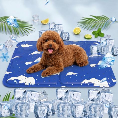 Tapis Rafraîchissant pour Chien et Animaux de Compagnie, Matelas Frais Intérieur Extérieur, Ours Polaire Bleu Royal, Taille M 40x50 cm (1/5)