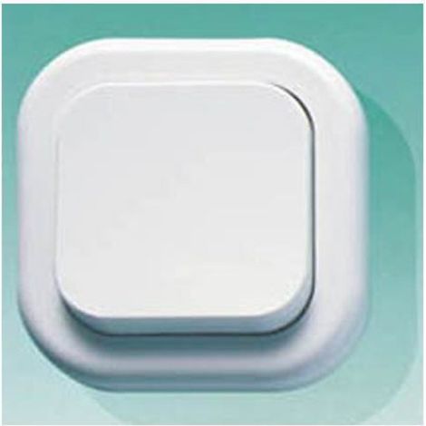 Interrupteur Universel - 250 V 16 A - Pour Installation Électrique Domestique - Compatible Boîte d'Encastrement Standard - 1 Pièce