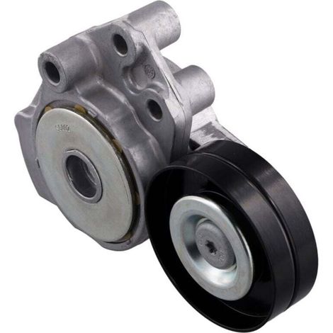 Tendeur automatique de courroie de transmission pour A1 FABIA SEAT (1/4)