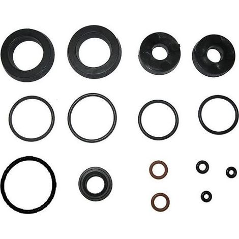 Kit completo guarnizioni di ricambio per abbacchiatore Zanon Super Mambo (1/3)