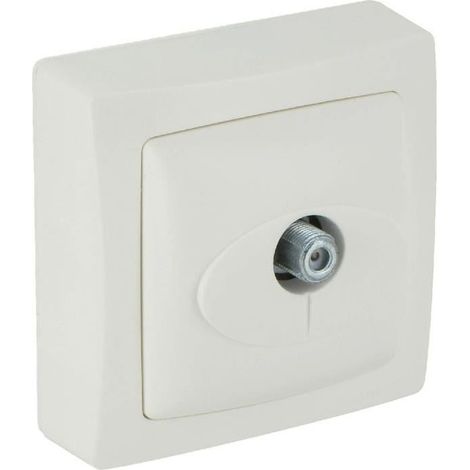 Legrand - Prise TV pour satellite pour moulure Appareillage Saillie - Blanc