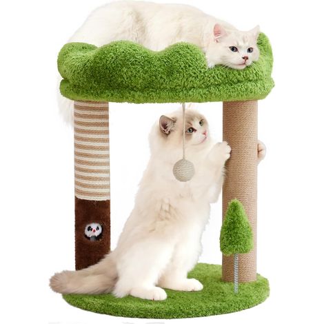 Petit arbre à chat avec perchoir, lit pour chat et housse amovible, tour à chat de 58,4 cm de haut avec 2 arbres à chat en sisal et jouet pour chatons et chats adultes (vert) (1/5)