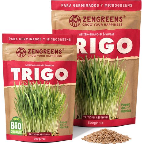 Semillas para germinar eco Trigo 200 g brotes y microgreens (1/5)