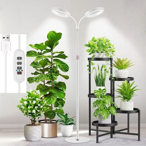 Grande lampe horticole 24 V pour plantes d’intérieur, spectre complet renforcé 660 nm, LED LUMILEDS, 2×16 cm lampes avec minuterie & gradation, hauteur réglable 56–178 cm, base 22 cm, 30 W (1/5)