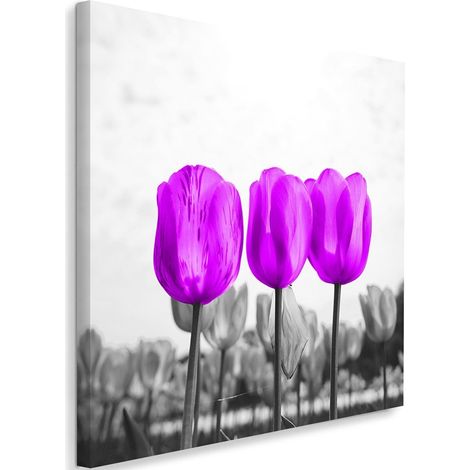 Tableau sur toile Tulipes prairie nature fleur Lila 50x50 (1/5)
