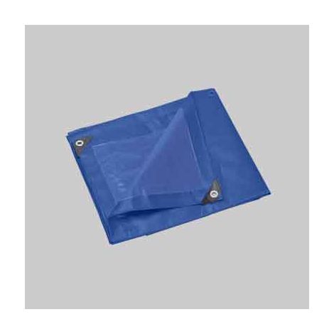 TELO OCCHIELLATO PESANTE mt 10x12. Prezzo per Pezzo.
