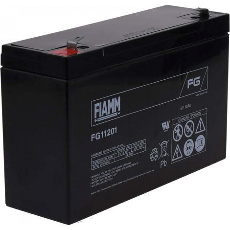 Batería de plomo AGM FIAMM FG12201 6V 12AH (1/3)