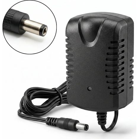Caricabatterie da 6V 500mA - per l'Auto Elettrica per Bambini