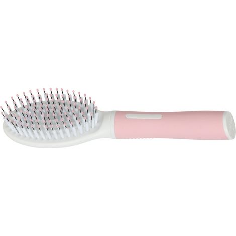 Brosse BI matière 21 cm pour chats - zolux (1/4)