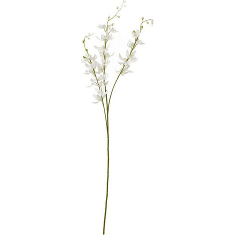 Cymbidium Spray (Single Stem Flower) - Plastic - L10 x W24 x H95 cm - White