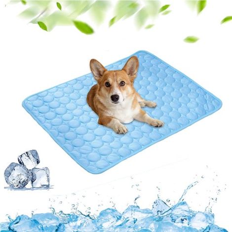 Tapis rafraîchissant pour animaux 100x70cm - Tapis rafraîchissant d'été pour chiens et chats (1/5)