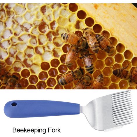 Fourchette à décapsuler en acier inoxydable et manche plastique, outil apiculture bleu 20.5x7.5 cm, materiel ruche apiculteur (1/5)