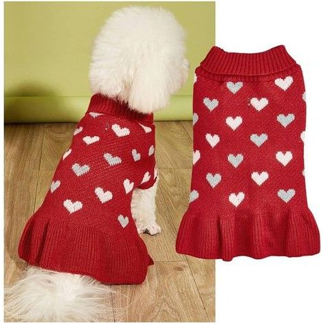 Robe pull en tricot à col roulé avec motif cœur pour petit chien et chat (rouge, taille XS) (1/5)