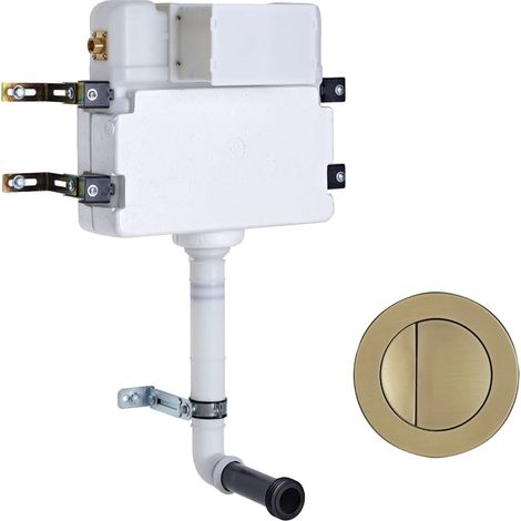 Roper Rhodes In Wall Concealed Cistern and Round BRUSHED BRASS Dual Flush Button (1/3)
