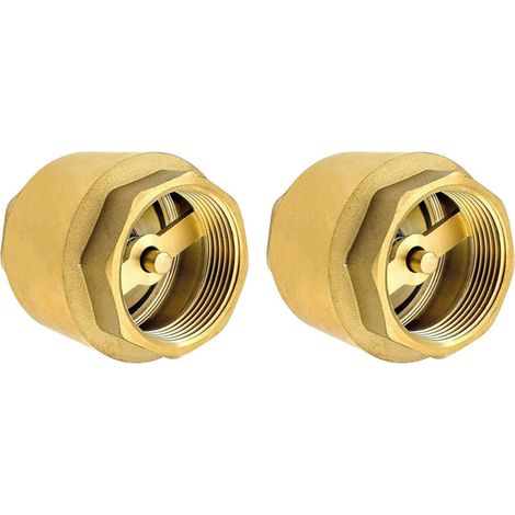 2PCS 1-Zoll-Rückschlagventil aus hochwertigem Messing, robust, rostfrei und wasserdicht für Pumpe, Brunnen, Waschmaschine, Garten, Regentonnen, Fass (1/5)