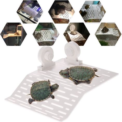 île Flottante Pour Tortues Et Reptiles Avec 2 Ventouses Pour Aquarium (1/5)