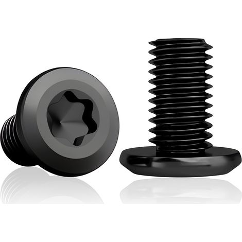 Lot de 30 vis à tête bombée M6x12 mm, inox noir Torx (1/5)